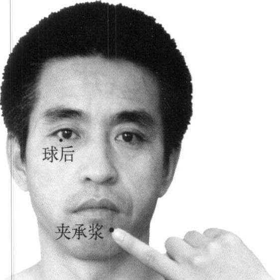 6.夾承漿